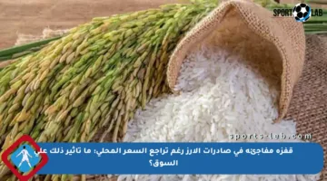 قفزة مفاجئة في صادرات الأرز رغم تراجع السعر المحلي: ما تأثير ذلك على السوق؟